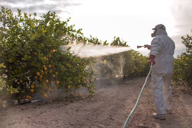 Pest Control for Restaurants in Fairmont, IL