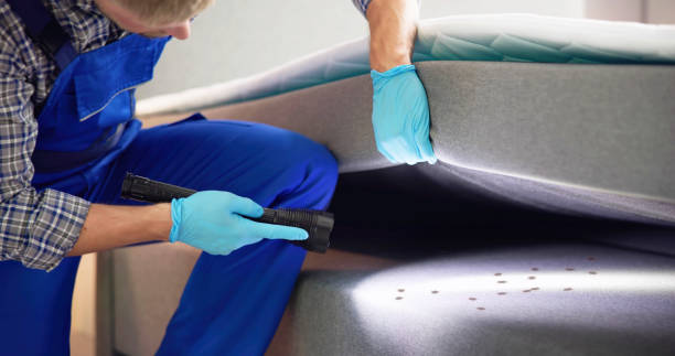 Best Rat Extermination Near Me  in Fairmont, IL